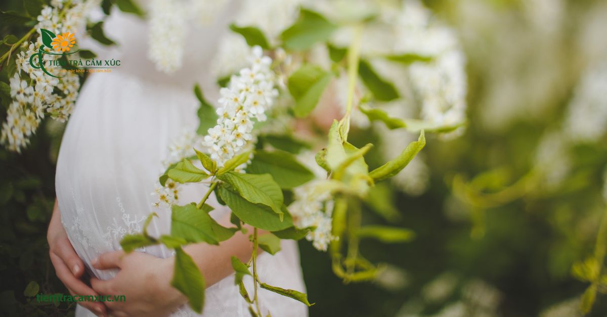 Lợi ích của trà với mẹ bầu