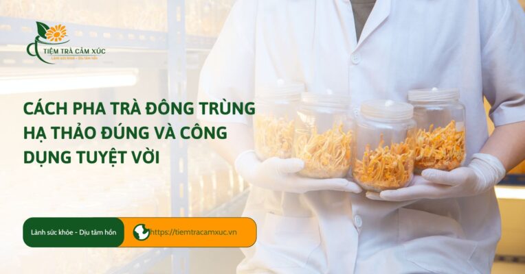 cách pha trà đông trùng hạ thảo