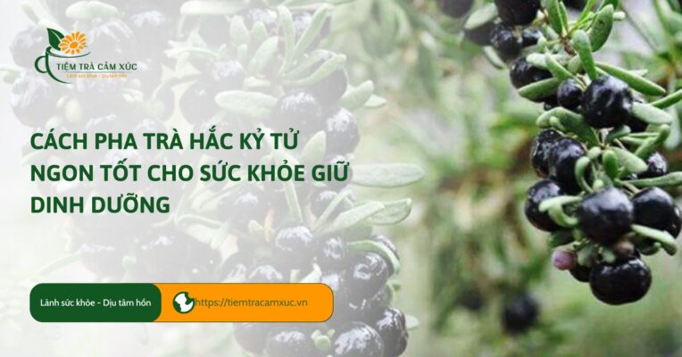 Cách pha trà hắc kỷ tử