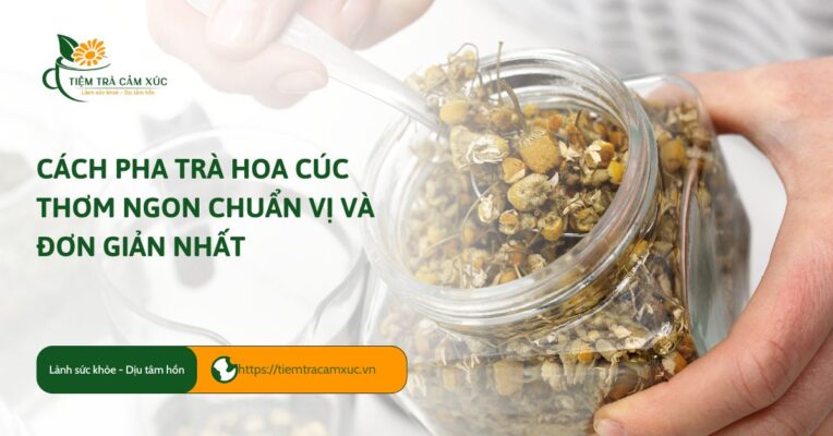 cách pha trà hoa cúc