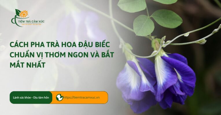 cách pha trà hoa đậu biếc