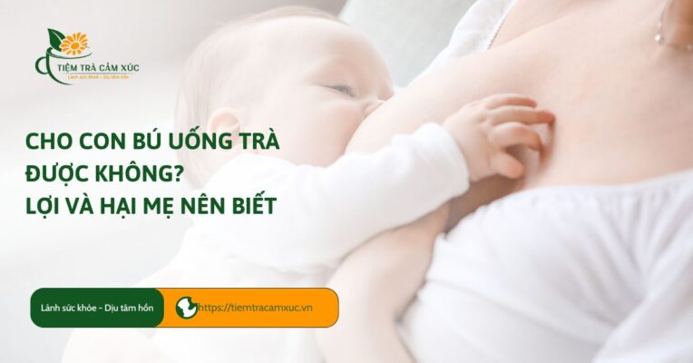 Cho con bú uống trà được không