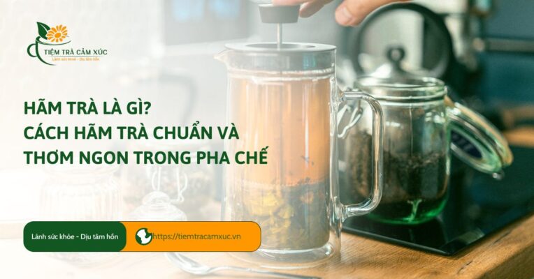 hãm trà là gì