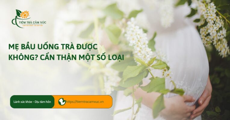 bầu uống trà được không