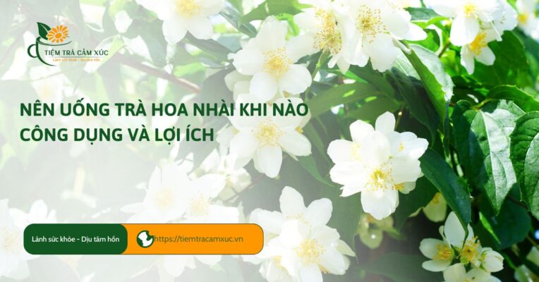 Nên uống trà hoa nhài khi nào