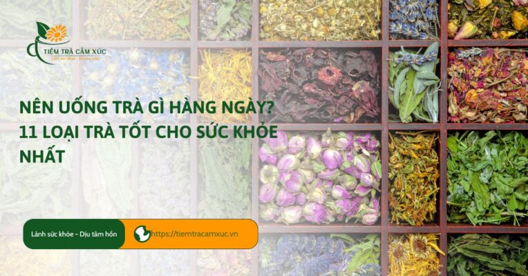Nên uống trà gì hằng ngày