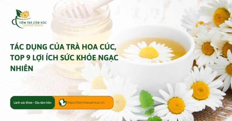 tác dụng của trà hoa cúc