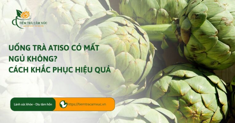 Uống trà atiso có mất ngủ không
