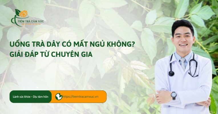 uống trà dây có mất ngủ không