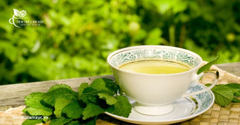 Trà dễ mất ngủ