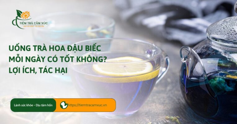 Bầu uống trà xanh được không