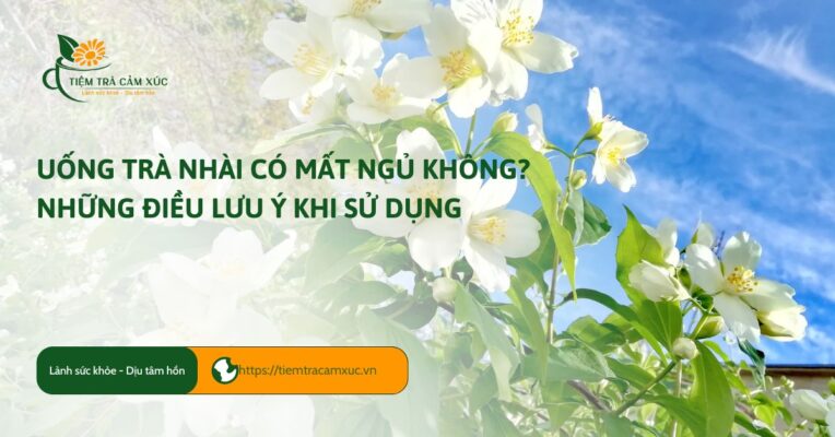 uống trà nhài có mất ngủ không