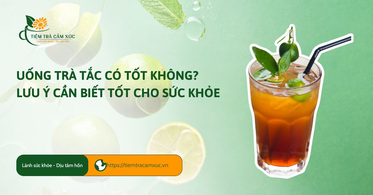 uống trà tắc có tốt không