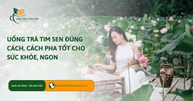 uống trà tim sen đúng cách