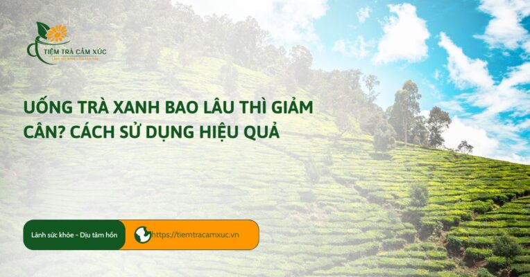 uống trà xanh bao lâu thì giảm cân