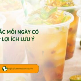 uống trà tắc mỗi ngày có tốt không