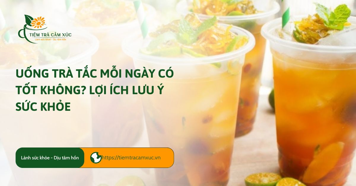 uống trà tắc mỗi ngày có tốt không
